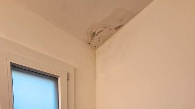 Muffa da infiltrazione d’acqua: come capire se la causa è lo scarico che perde